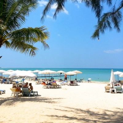 手机最快开奖结果